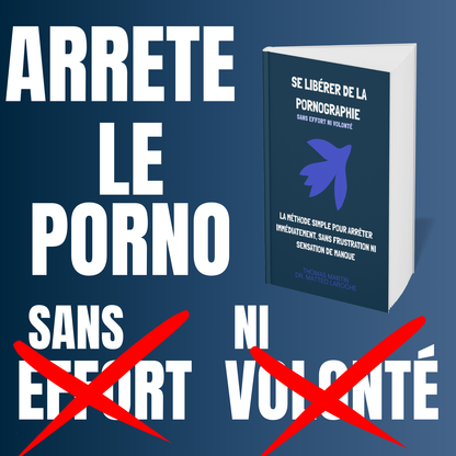 Se libérer de la Pornographie Ebook
