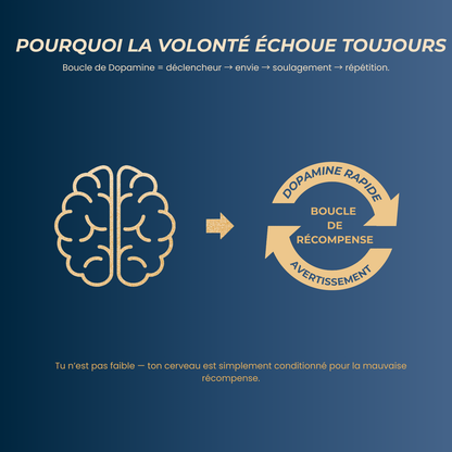 Se libérer de la Pornographie Ebook