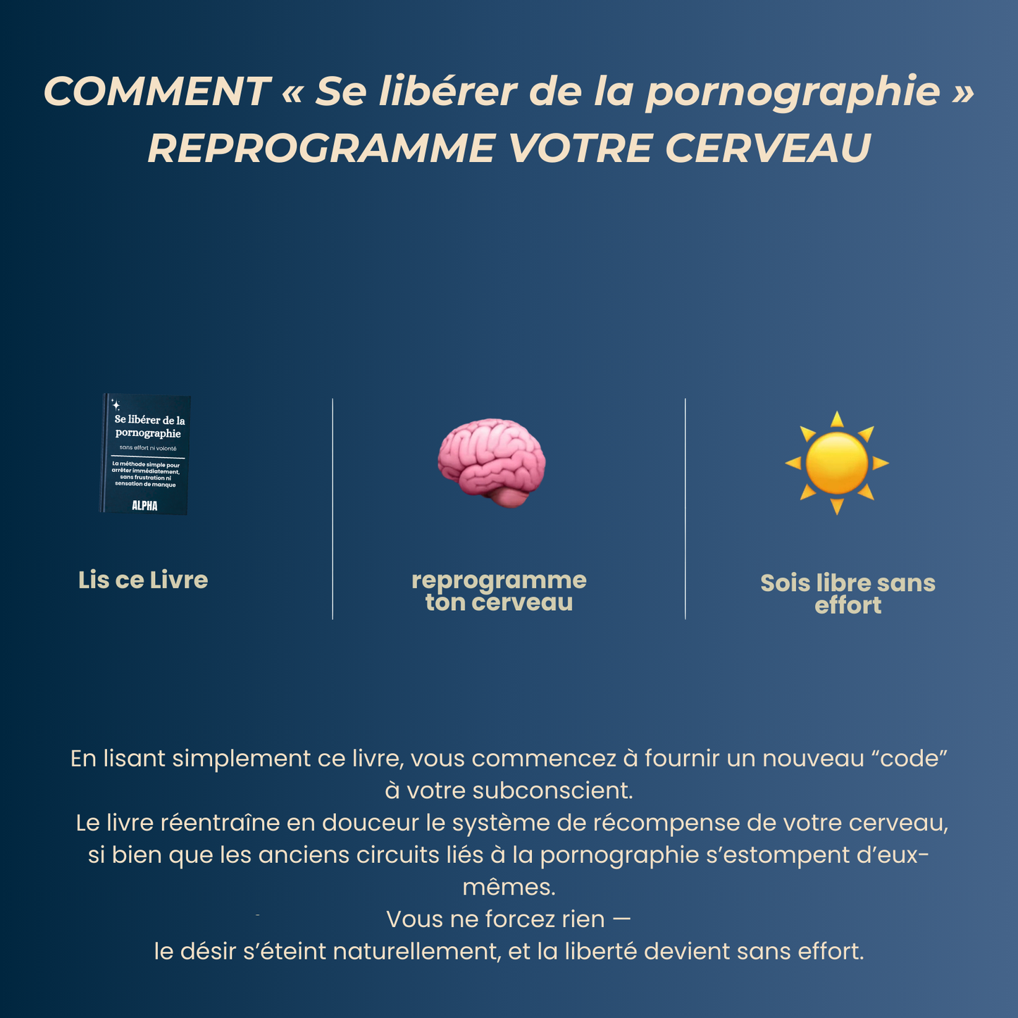 Se libérer de la Pornographie Ebook